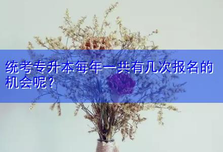 統(tǒng)考專升本每年一共有幾次報(bào)名的機(jī)會(huì)呢？