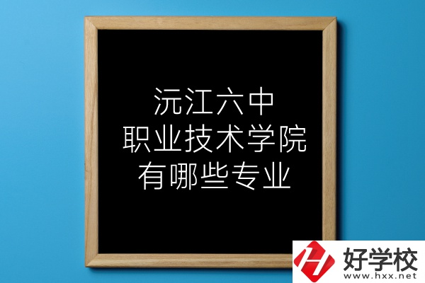 湖南沅江六中職業(yè)技術(shù)學(xué)院有哪些專業(yè)？