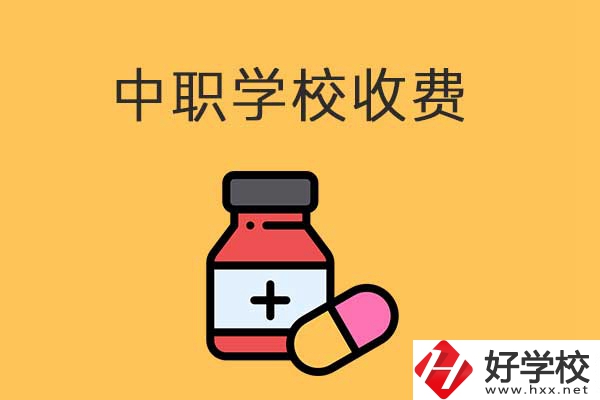 衡陽的中職學校怎么收費的？費用貴不貴？