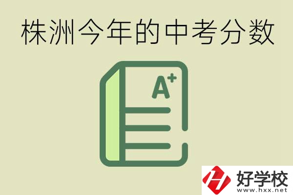 株洲今年中考多少分能上高中？沒(méi)考上有什么選擇？