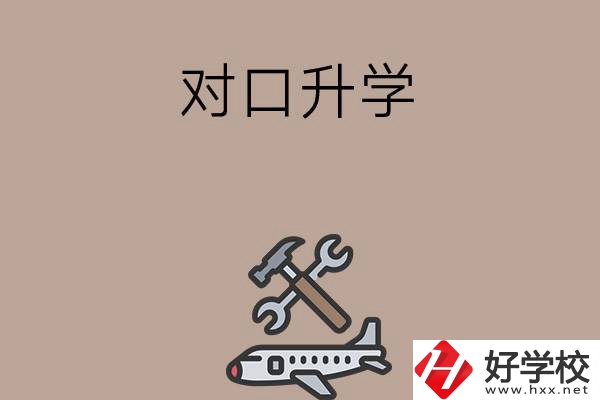 職高學(xué)生參加湖南省對口升學(xué)，有什么本科可以報考？