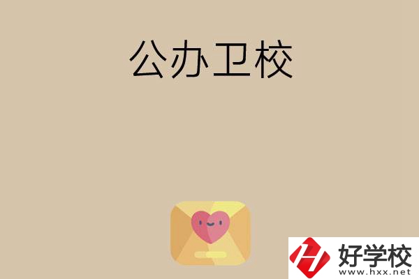 想在湖南上公辦衛(wèi)校？這所學(xué)校值得一看