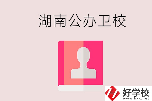 想在湖南上公辦衛(wèi)校可以選擇哪些學(xué)校？