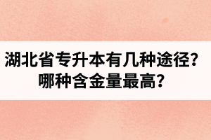 湖北省專升本有幾種途徑？哪種含金量最高？