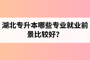 湖北專升本哪些專業(yè)就業(yè)前景比較好？