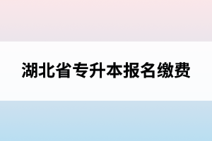 湖北省專升本報(bào)名繳費(fèi)