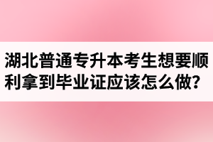 湖北普通專升本考生想要順利拿到畢業(yè)證應該怎么做？