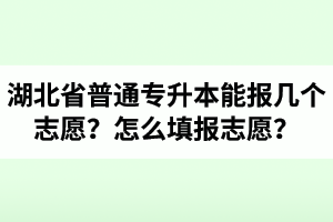 湖北省普通專升本能報幾個志愿？怎么填報志愿？