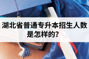 湖北省普通專升本招生人數(shù)是怎樣的？