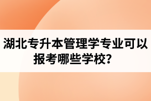 湖北專升本管理學(xué)專業(yè)可以報(bào)考哪些學(xué)校？屬于管理學(xué)的專業(yè)有哪些？