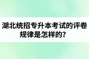 湖北統(tǒng)招專升本考試的評(píng)卷規(guī)律是怎樣的？怎么避免丟失細(xì)節(jié)分？