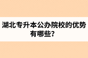 湖北專升本公辦院校的優(yōu)勢有哪些？為什么大家都想報公辦學(xué)校？