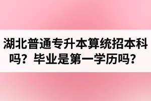 湖北普通專升本算統(tǒng)招本科嗎？專升本學(xué)歷是第一學(xué)歷嗎？