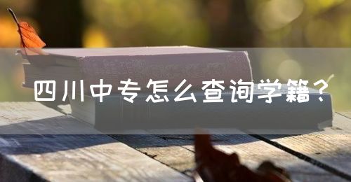 四川中專怎么查詢學(xué)籍？(圖1)