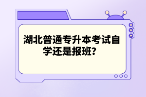 湖北普通專升本考試自學(xué)還是報(bào)班？