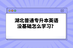 湖北普通專升本英語沒基礎(chǔ)怎么學習？