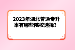 2023年湖北普通專升本有哪些院校選擇？