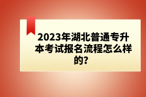 2023年湖北普通專(zhuān)升本考試報(bào)名流程怎么樣的？