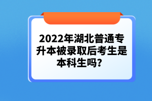 2022年湖北普通專升本被錄取后考生是本科生嗎？