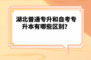 湖北普通專升和自考專升本有哪些區(qū)別？