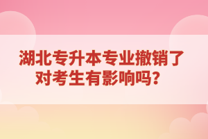 湖北專升本專業(yè)撤銷了對考生有影響嗎？