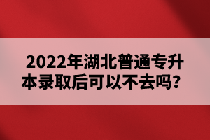 2022年湖北普通專升本錄取后可以不去嗎？