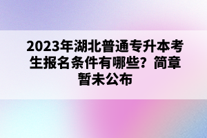 2023年湖北普通專升本考生報(bào)名條件有哪些？簡章暫未公布