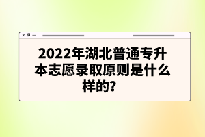 2022年湖北普通專升本志愿錄取原則是什么樣的？