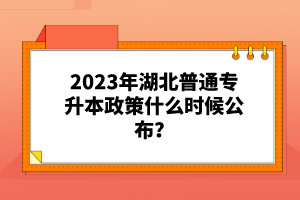 2023年湖北普通專升本政策什么時候公布？