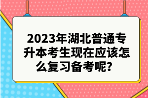 2023年湖北普通專升本考生現(xiàn)在應(yīng)該怎么復(fù)習(xí)備考呢？