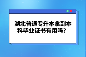 湖北普通專(zhuān)升本拿到本科畢業(yè)證書(shū)有用嗎？