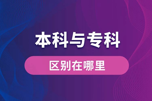 本科與?？频膮^(qū)別在哪里