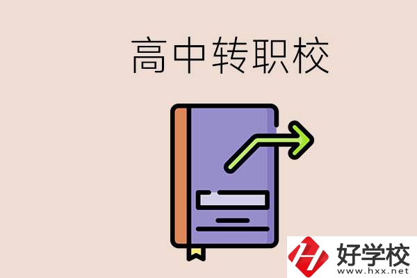 有在讀高中不想讀轉(zhuǎn)職校的例子嗎？能轉(zhuǎn)到湖南職校嗎？