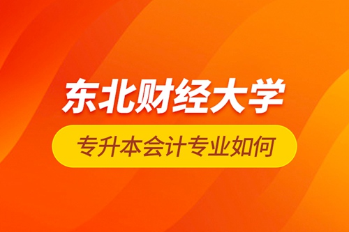 東北財經大學專升本會計專業(yè)如何