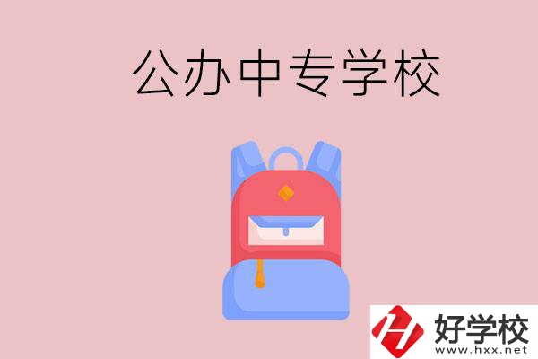 婁底有什么公辦中專學(xué)校？教學(xué)怎么樣？