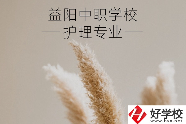 益陽護(hù)理專業(yè)的中職學(xué)校有哪些？需要哪些要求？