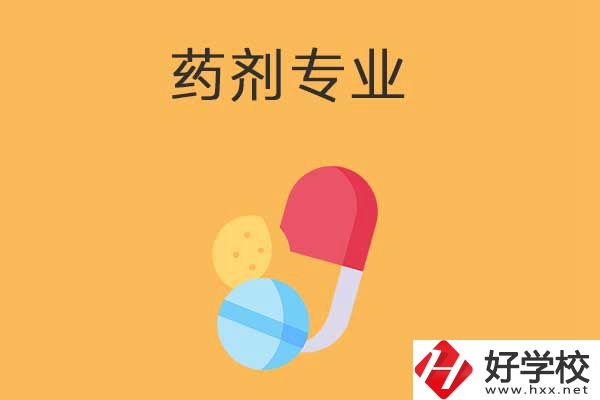 衡陽市有開設(shè)藥劑專業(yè)的中專學校嗎？招生人數(shù)多嗎？