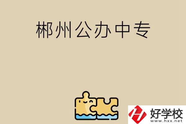 郴州公辦中專有哪些開(kāi)設(shè)了電子商務(wù)專業(yè)？