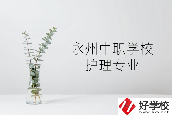 永州有哪些護(hù)理專業(yè)的中職學(xué)校？