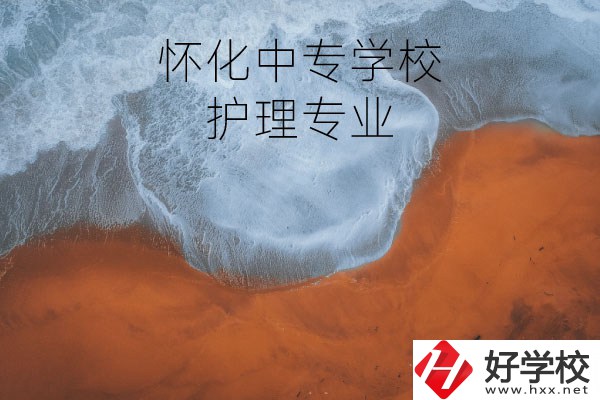 懷化有學護理專業(yè)的中專學校嗎？