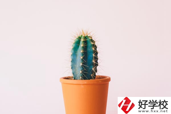 長(zhǎng)沙有哪些中職學(xué)?？梢詫W(xué)習(xí)幼師專業(yè)？