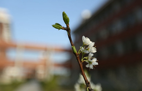 菏澤市第二職業(yè)高中