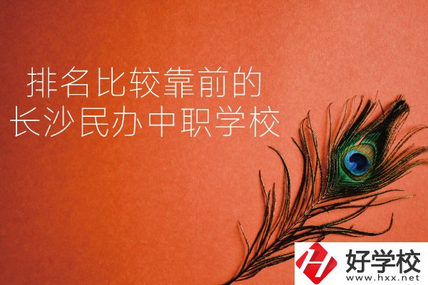 長(zhǎng)沙哪些民辦中職學(xué)校排名比較靠前？