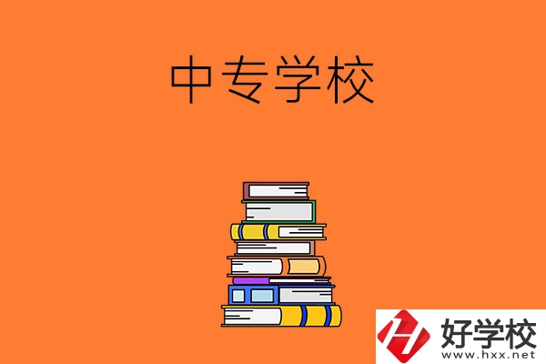 懷化市有哪些公立的中專學(xué)校？