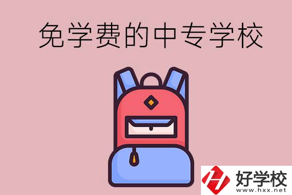 郴州市的中專哪些是免學(xué)費(fèi)的？