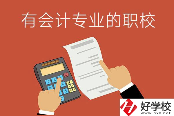 株洲哪些公立職校有會計(jì)專業(yè)？