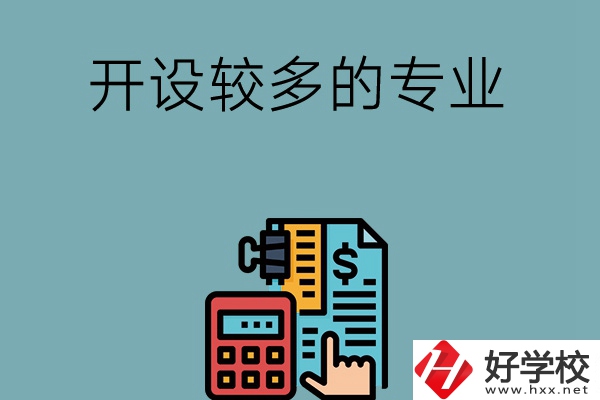 湖南的中職學(xué)校開設(shè)較多的專業(yè)是哪些？