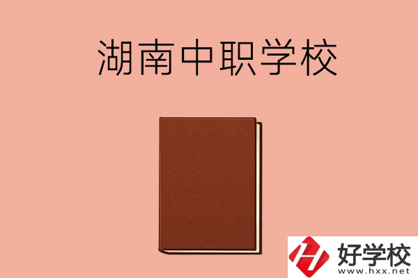 湖南有哪些就業(yè)率比較高的中職學(xué)校？