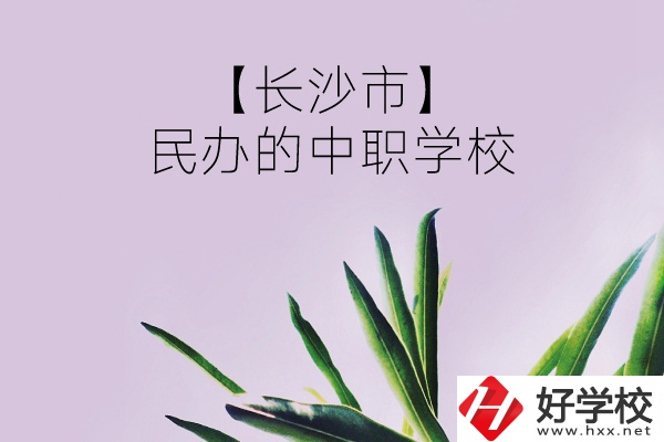 長(zhǎng)沙市有哪些民辦的中職學(xué)校？