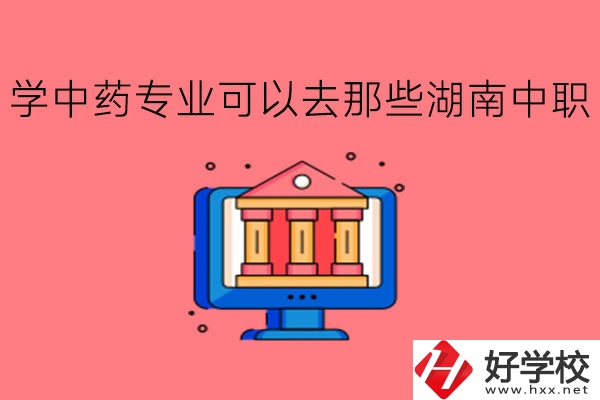 學中藥專業(yè)可以去那些湖南中職?